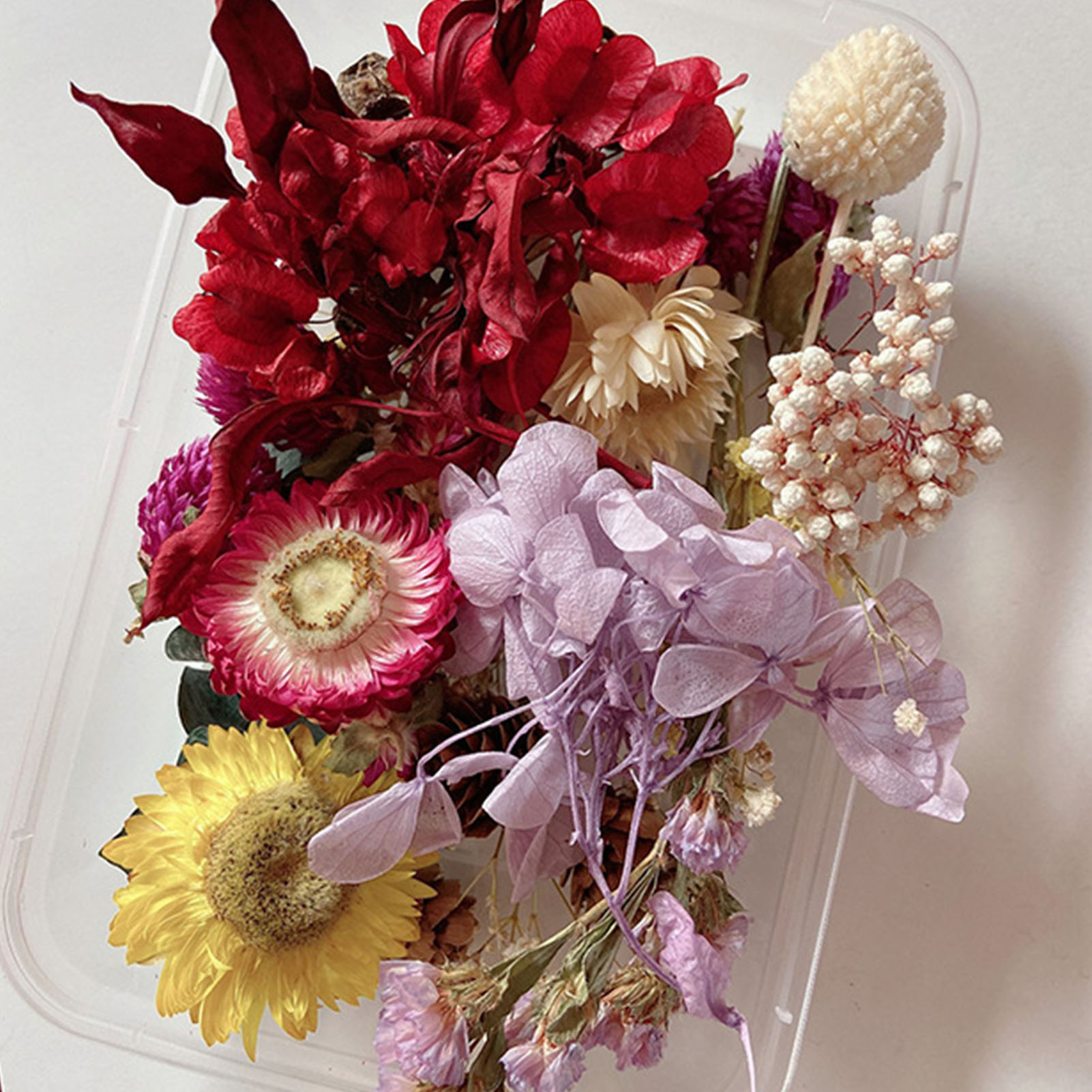 Natural Dried Flower Kit Press - Candle Making Kit review and price