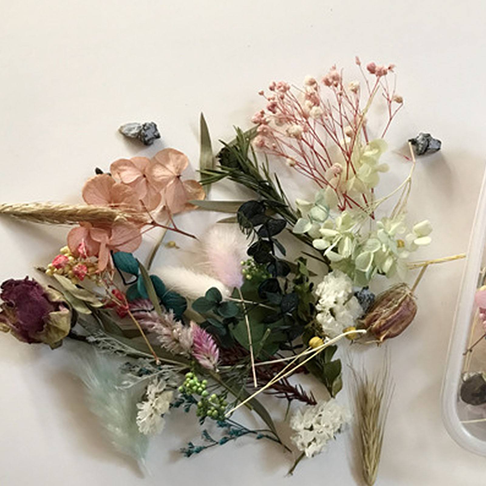Natural Dried Flower Kit Press - Candle Making Kit review and price